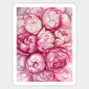 Rose peonies Magnet